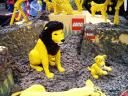 animals6.jpg