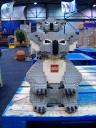 koala2.jpg