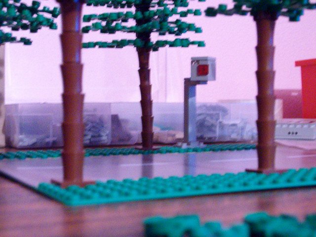 bomen1.jpg