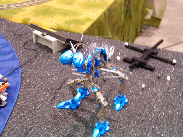 56.jpg