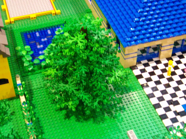 tree.jpg