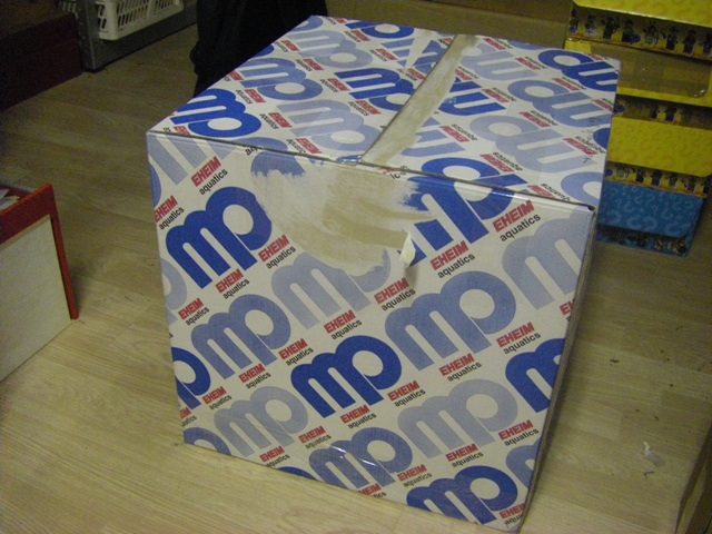 imgp8988.jpg