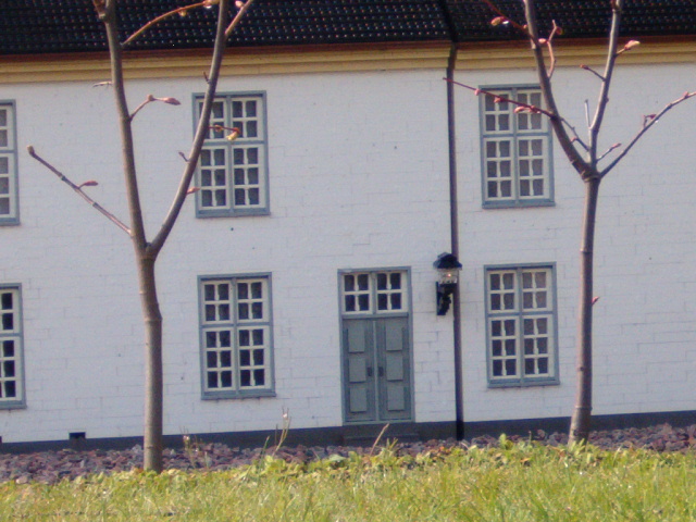 19.jpg