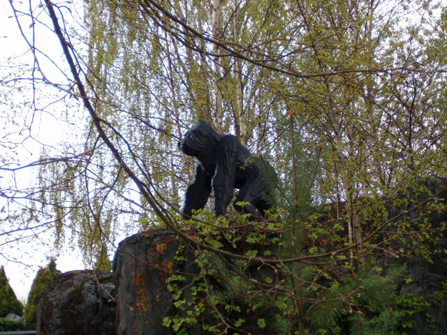 191.jpg