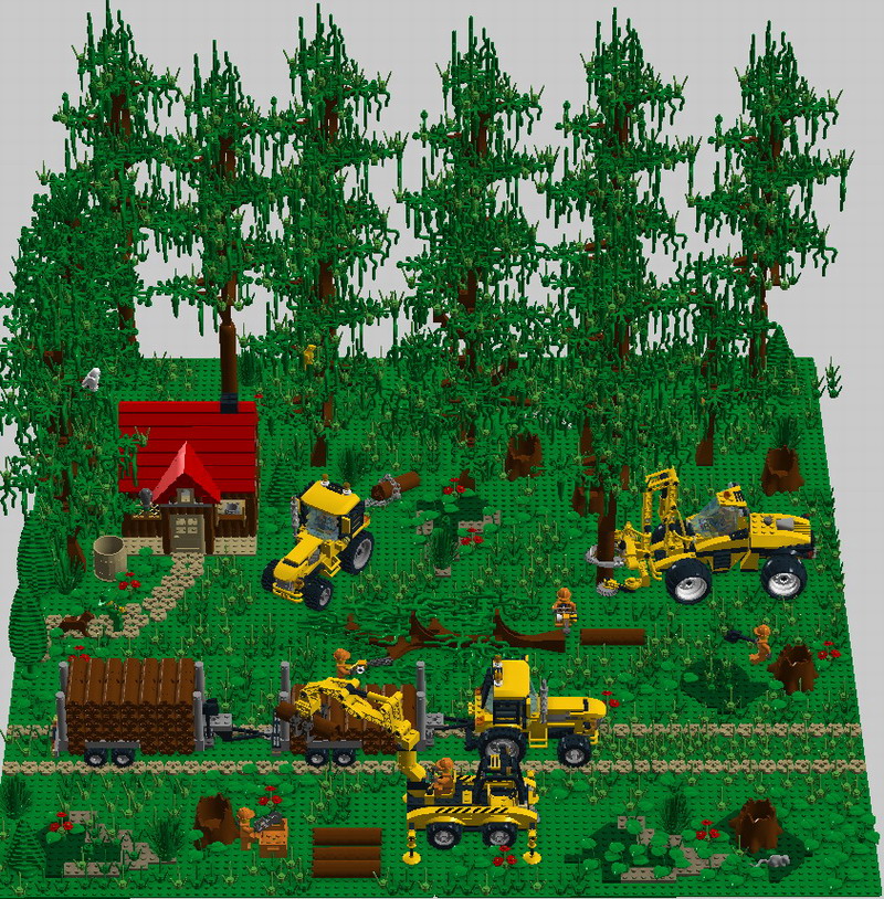 logging_site5.jpg