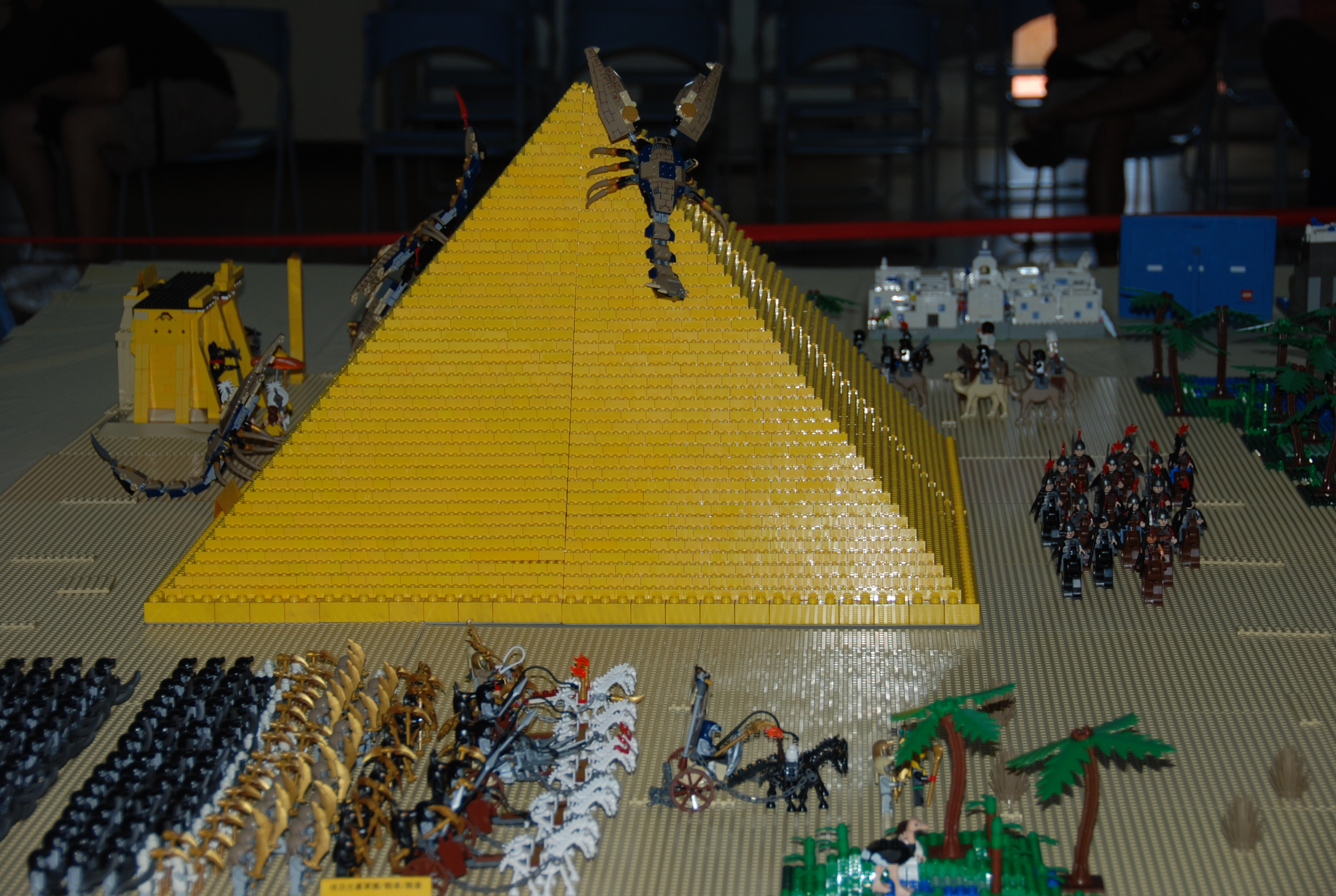 dsc_0564.jpg