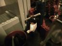 sdc11364.jpg