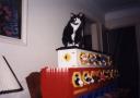 beanie_baby_ark__completed_02_1998.jpg