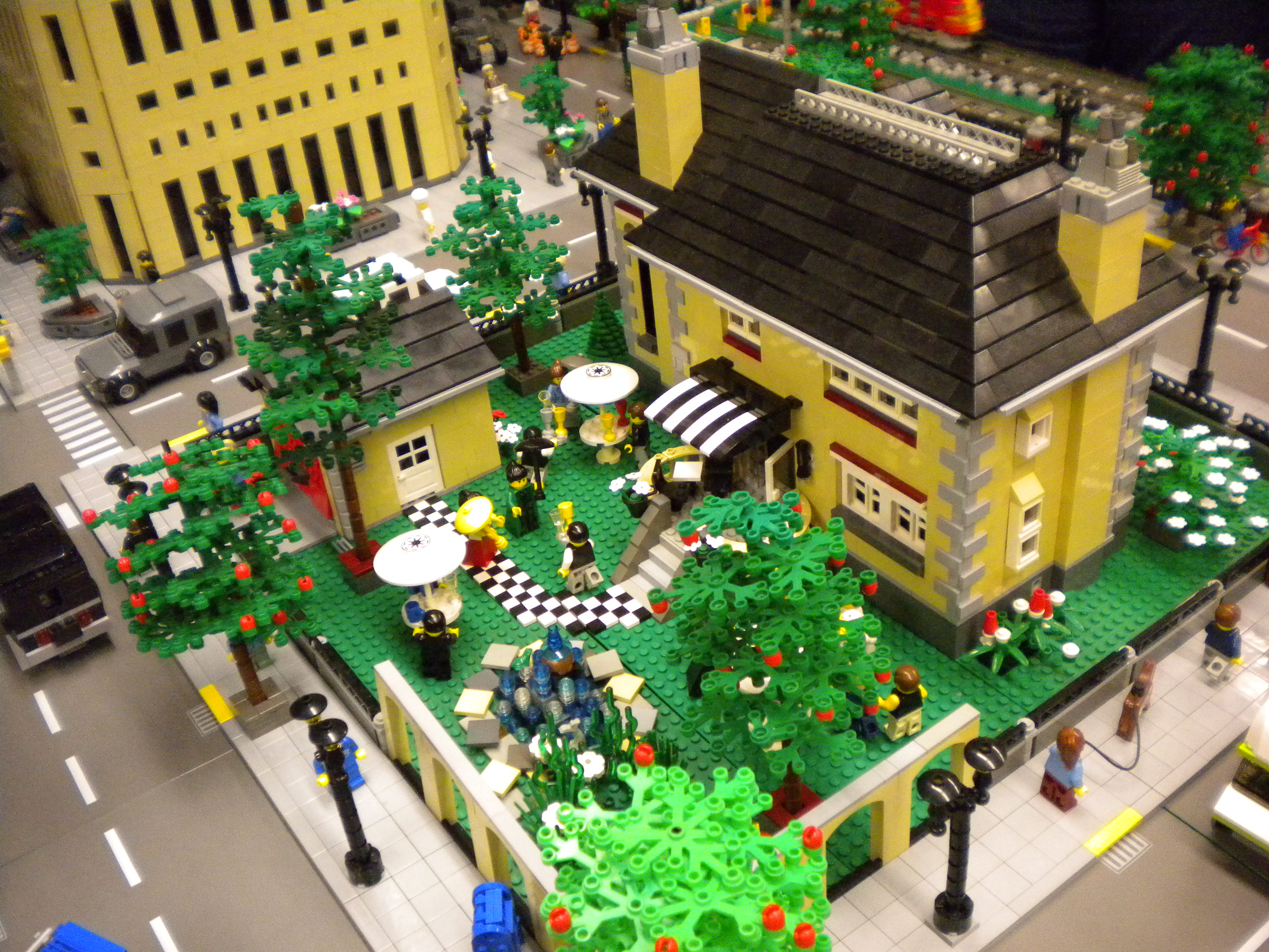 livonia_library_sandburg_michlug_july_2009_31.jpg