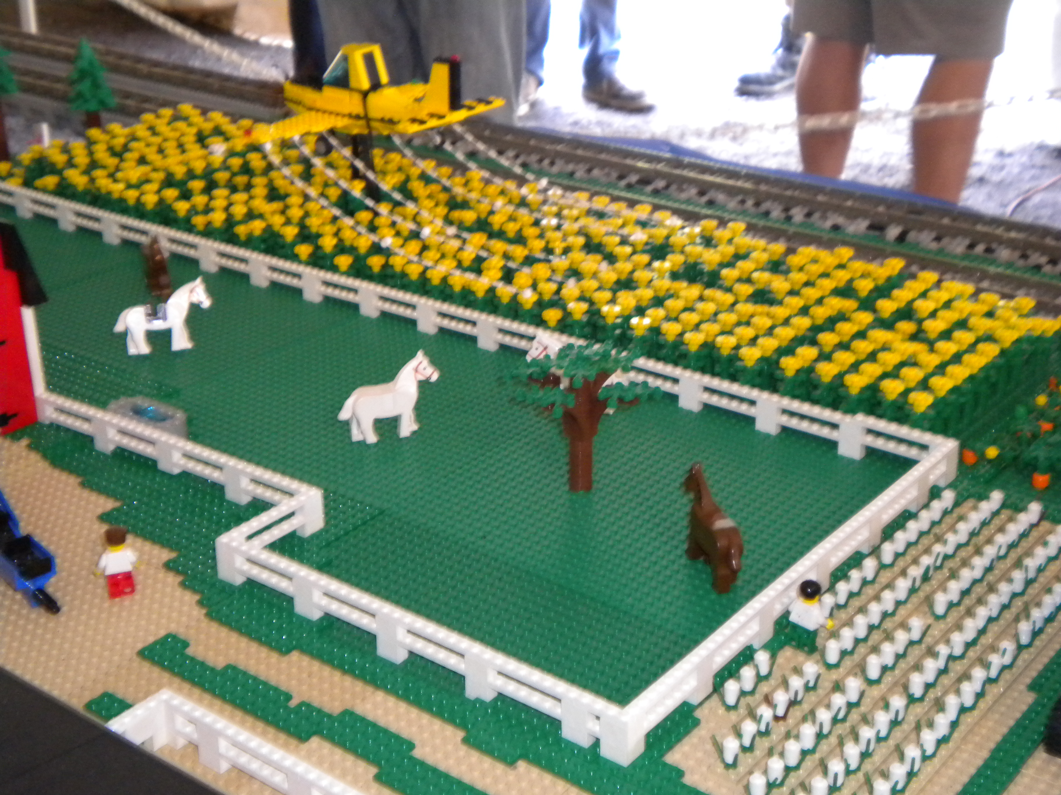 michlug_michigan_train_festival_july_2009_108.jpg