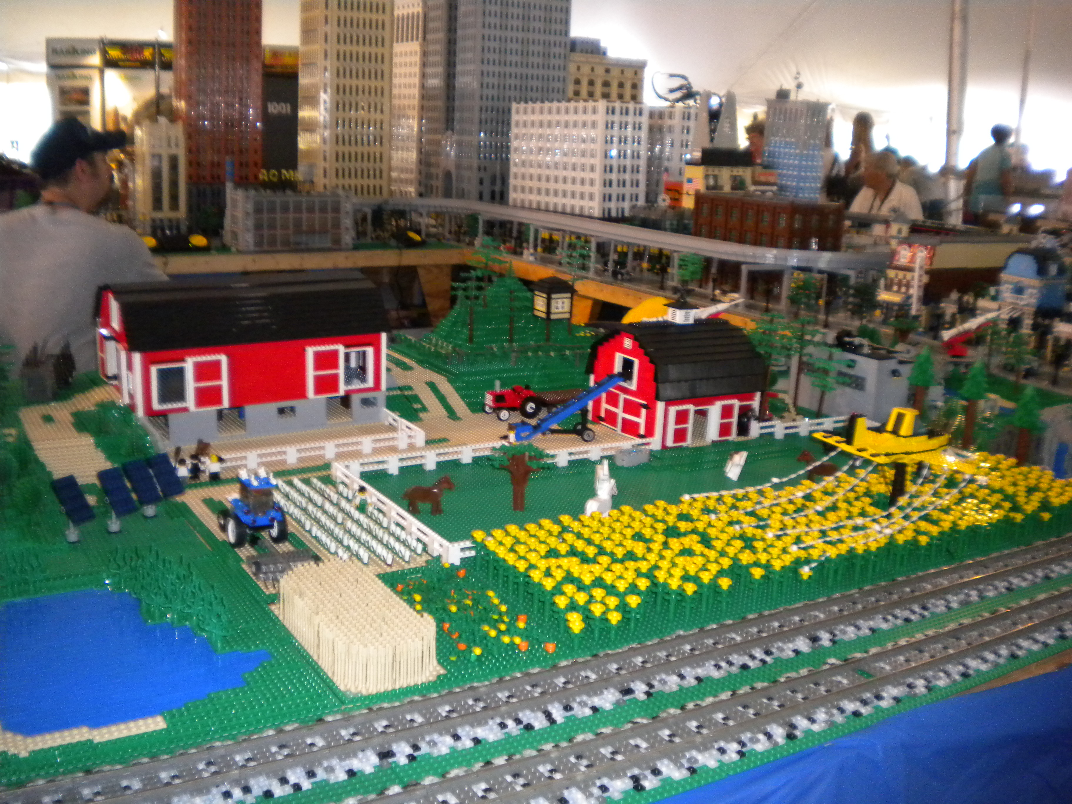 michlug_michigan_train_festival_july_2009_57.jpg