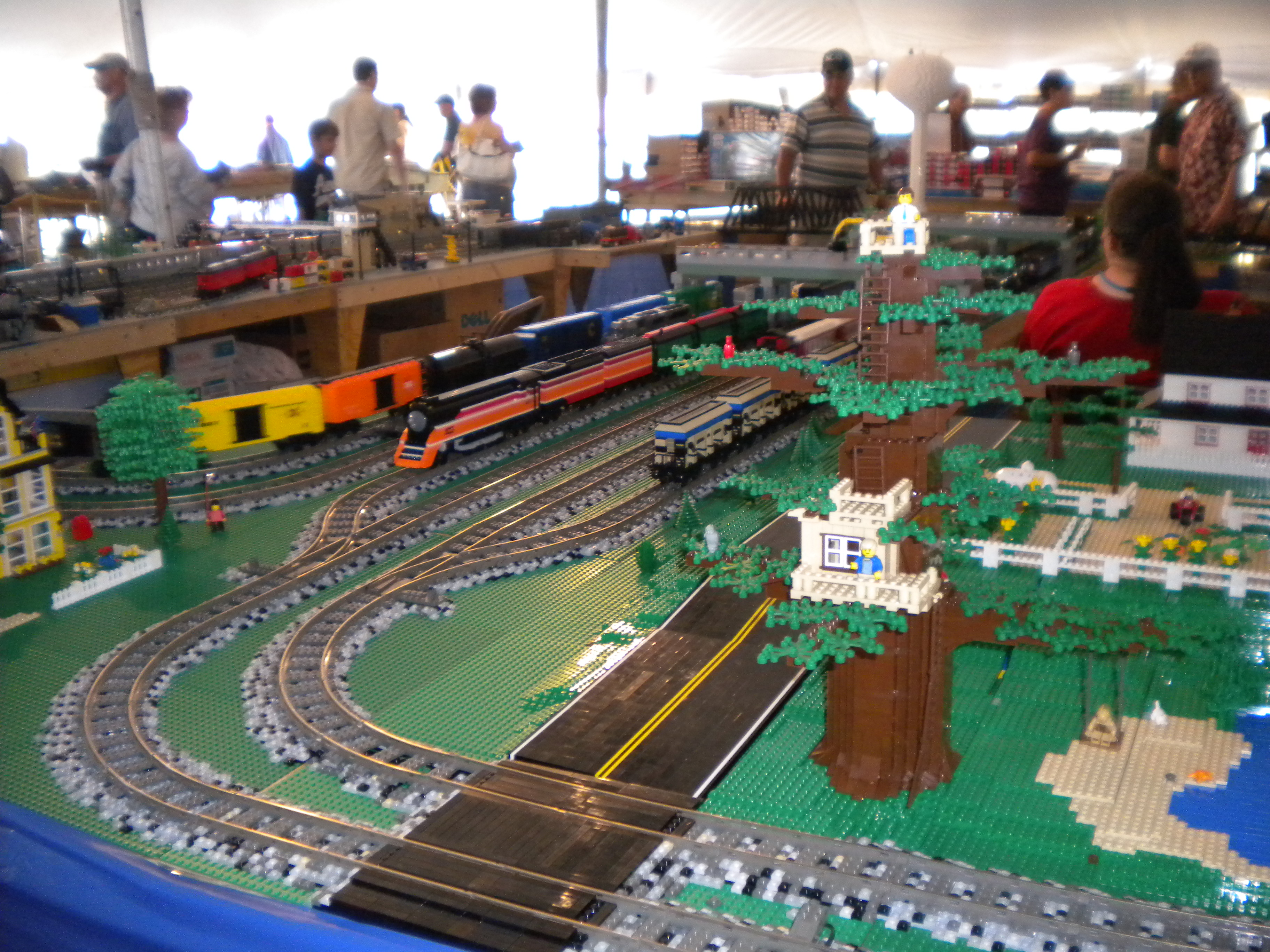 michlug_michigan_train_festival_july_2009_58.jpg