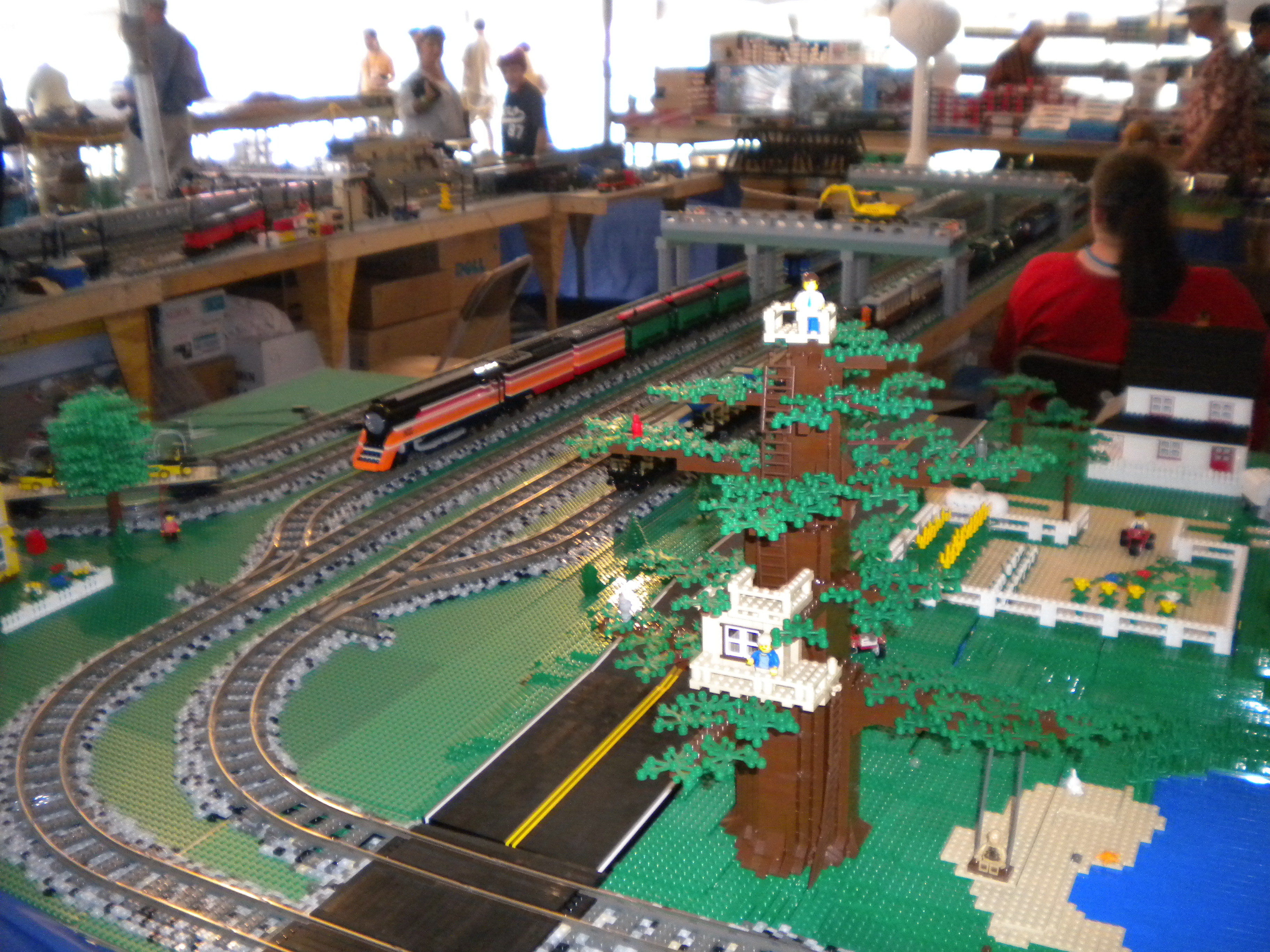 michlug_michigan_train_festival_july_2009_59.jpg
