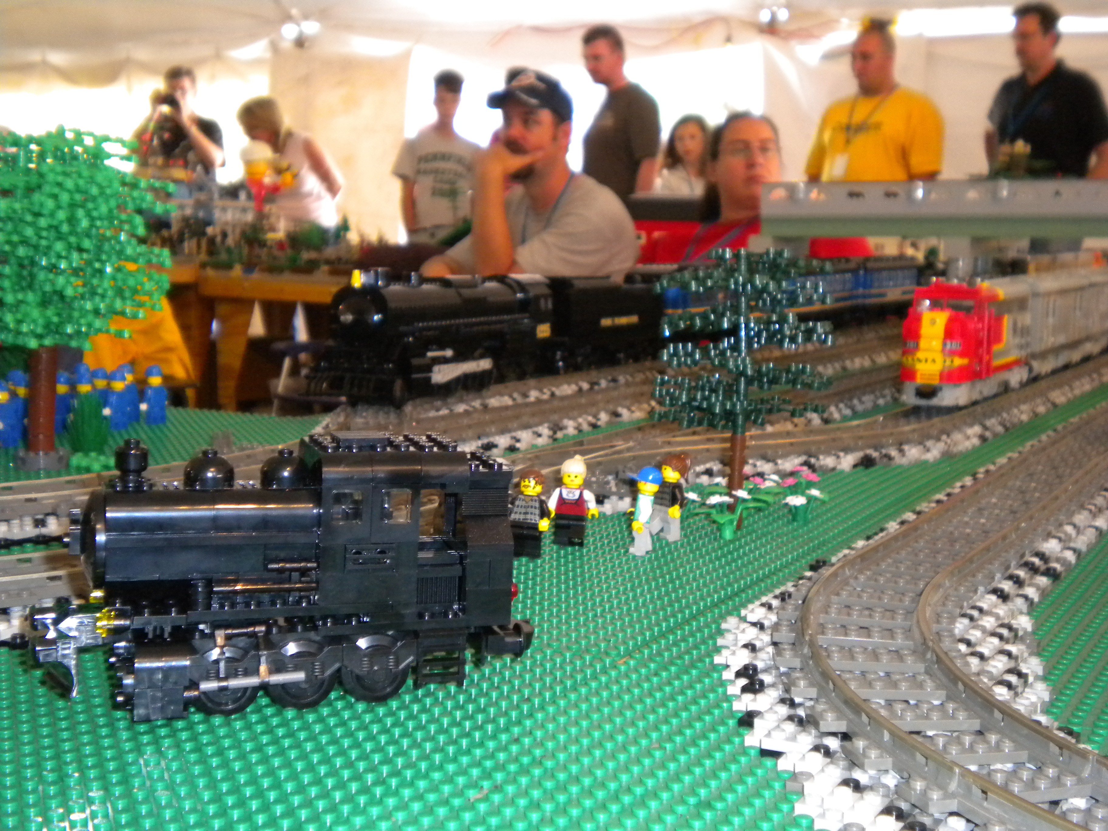 michlug_michigan_train_festival_july_2009_86.jpg
