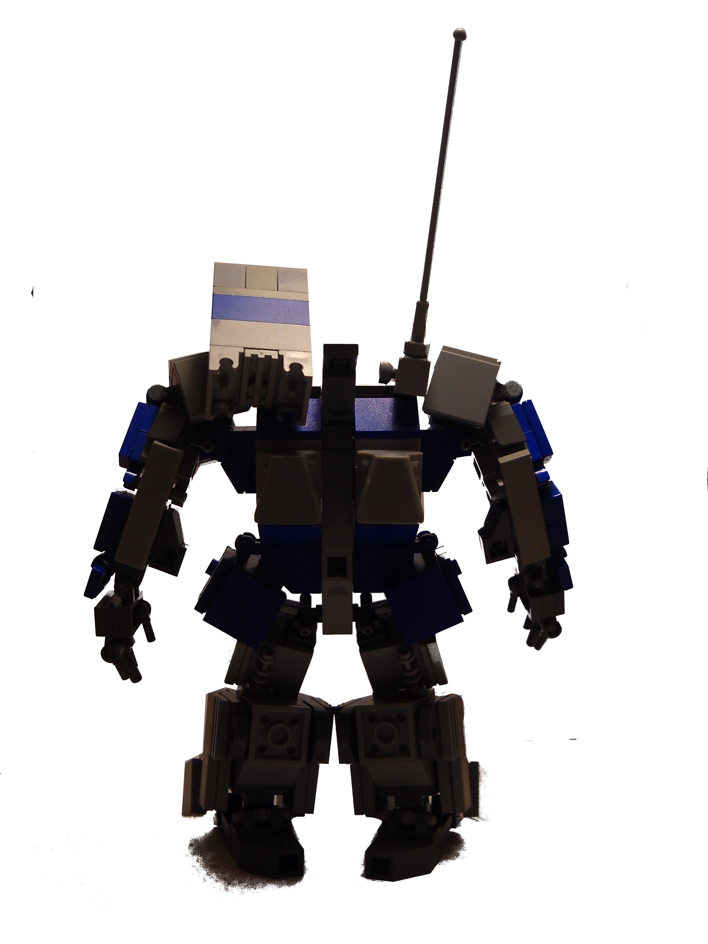 back.jpg