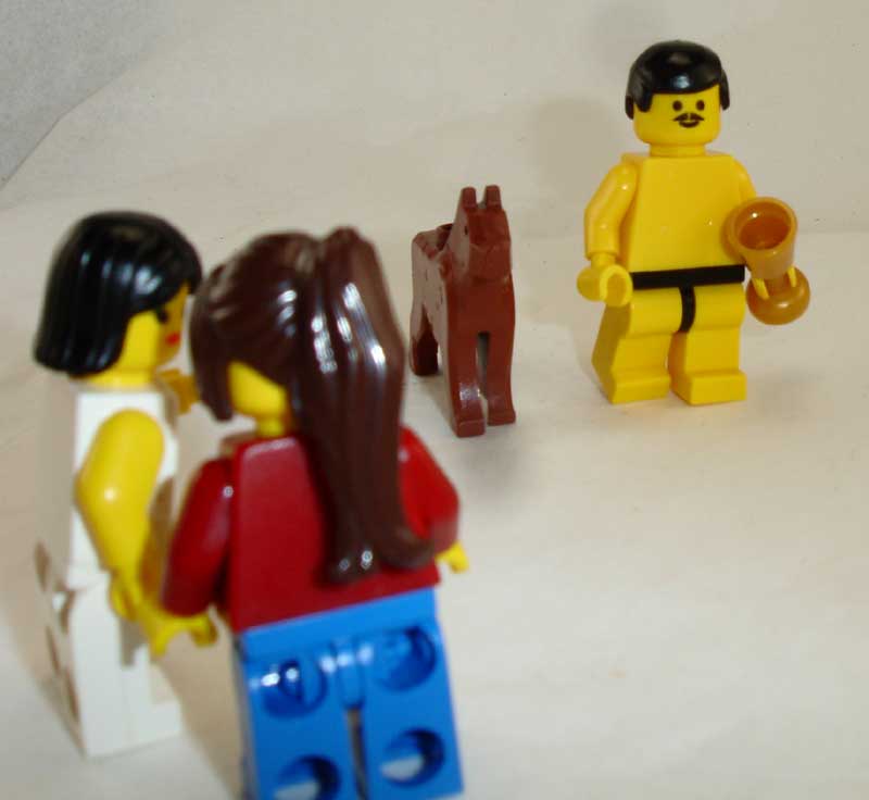 dsc07250.jpg