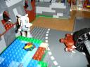 dsc07947.jpg