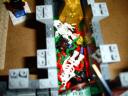 dsc07958.jpg