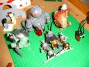 dsc07970.jpg