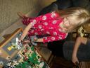 dsc00834.jpg