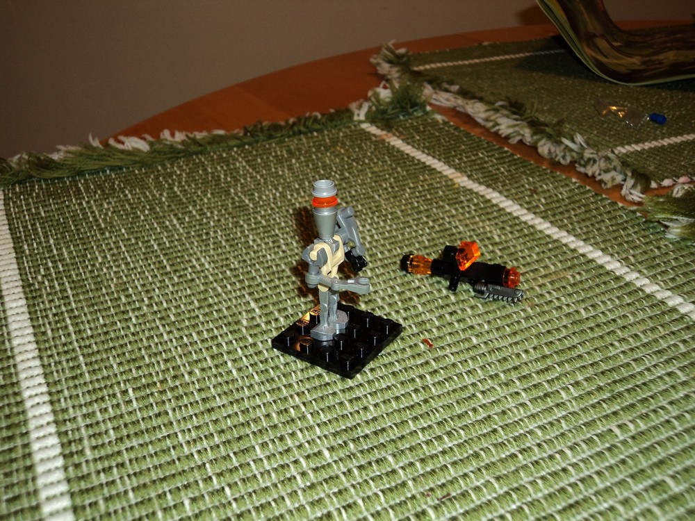 dsc06522.jpg