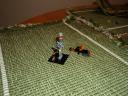 dsc06521.jpg