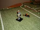dsc06522.jpg