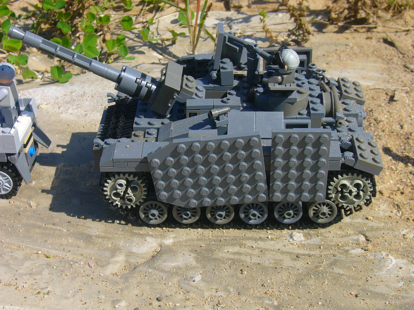 closeup1.jpg