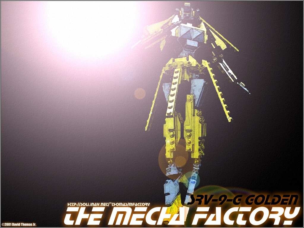srv9g_13.jpg
