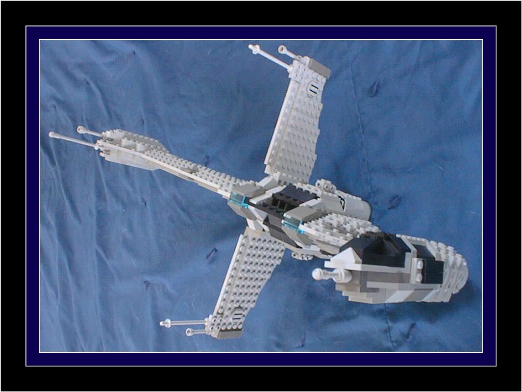 bwing01.jpg