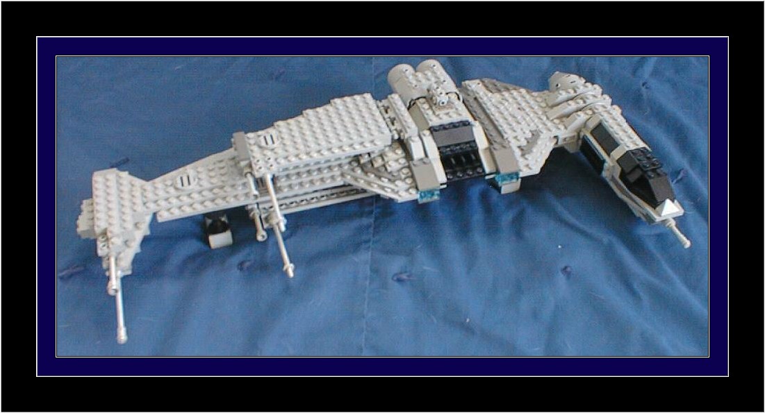 bwing02.jpg