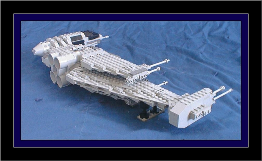 bwing05.jpg