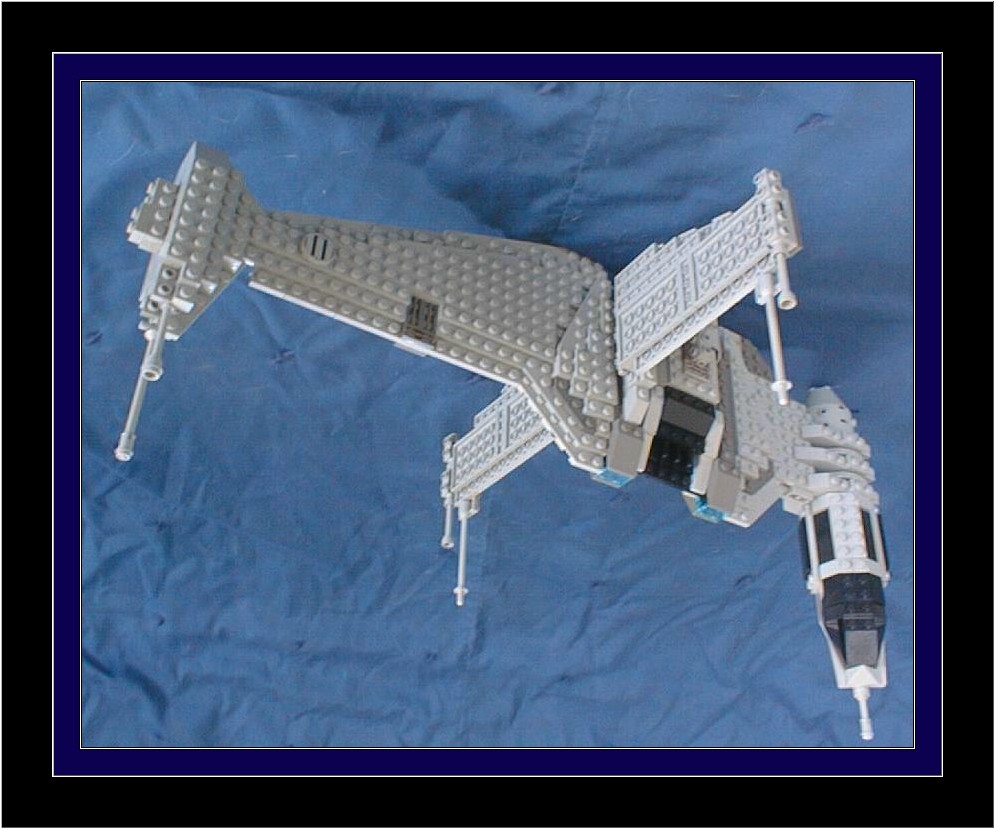 bwing10.jpg