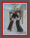 megatron09.jpg