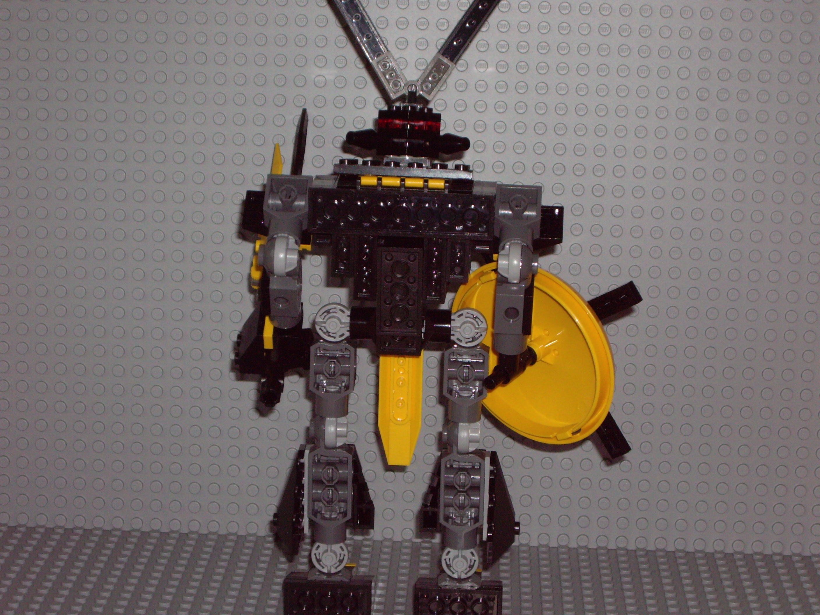 imgp1293.jpg