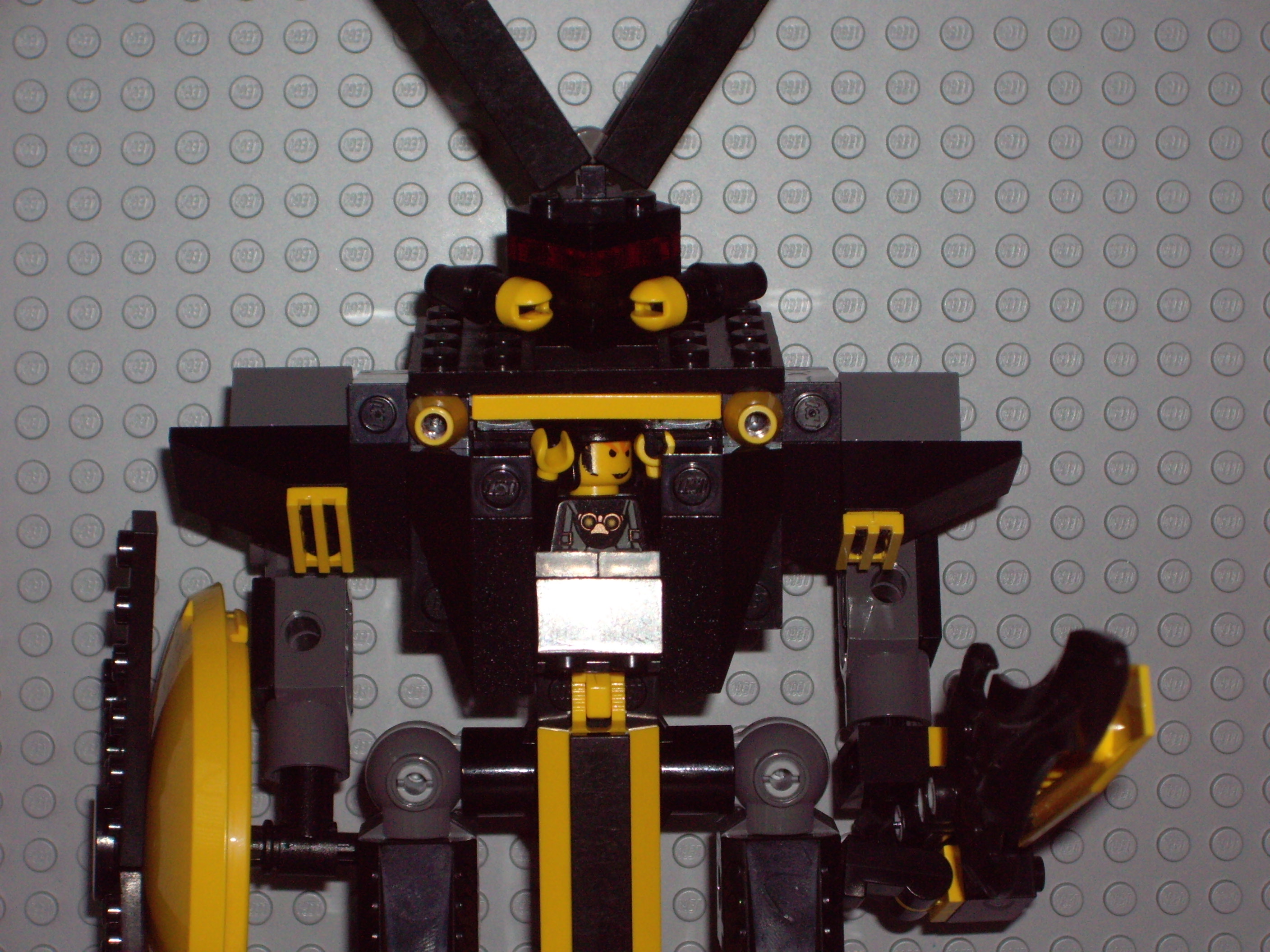 imgp1295.jpg