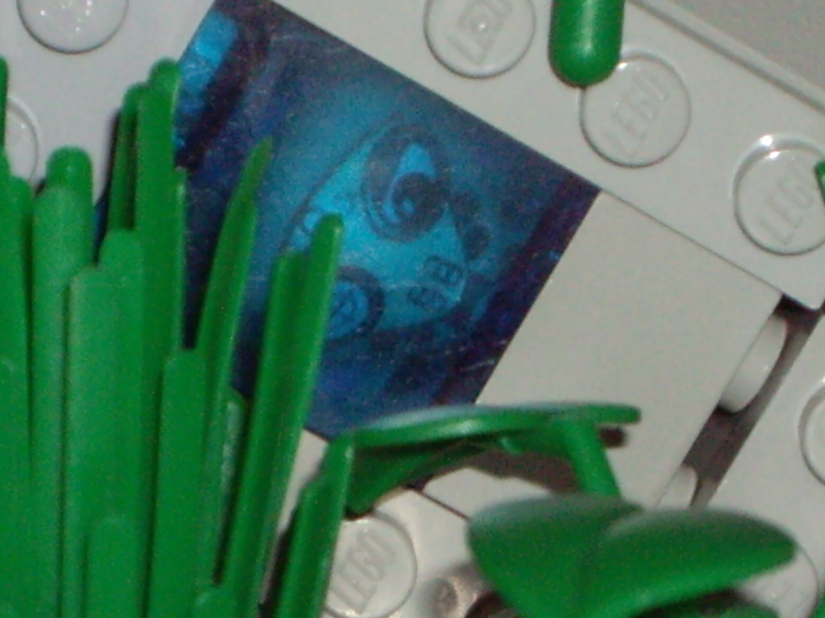 imgp0940.jpg