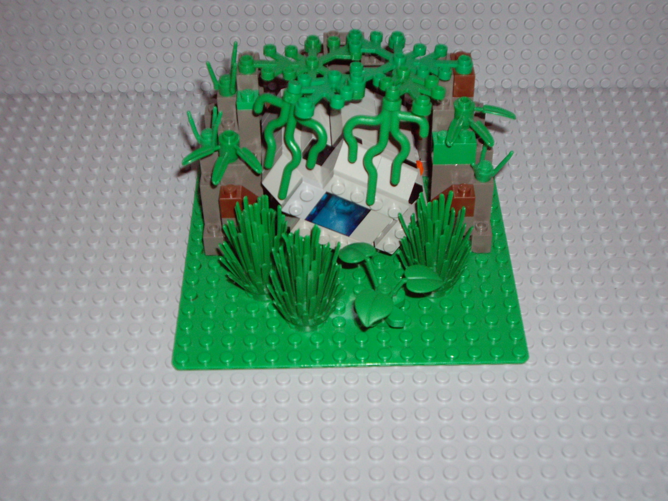 imgp0942.jpg