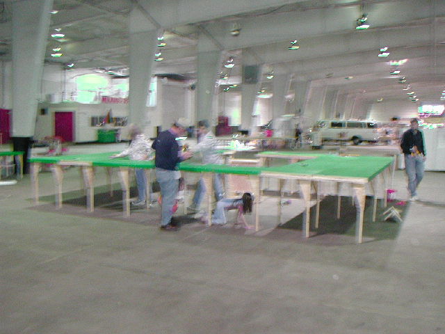 p4050435.jpg
