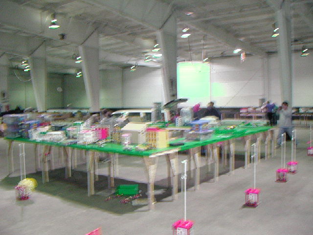 p4050439.jpg