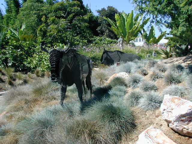p9080112.jpg