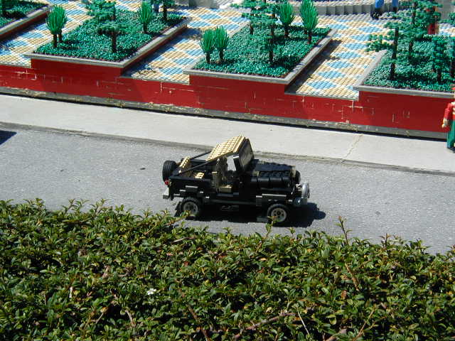 p9080151.jpg