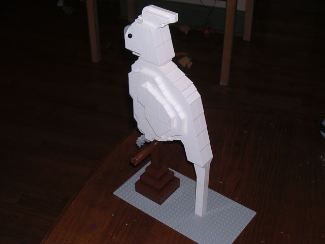 dscn2173.jpg
