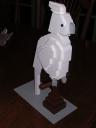 Cockatiel