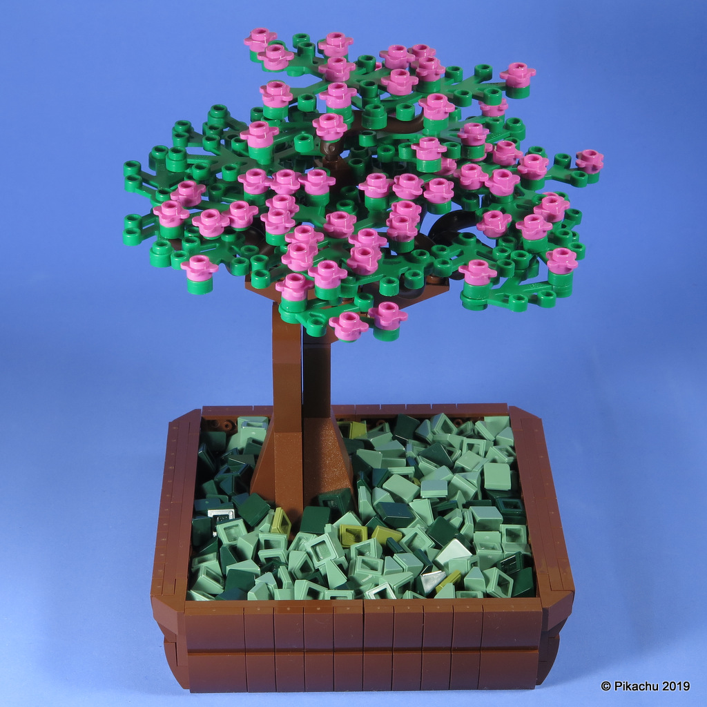 bonsai-002.jpg