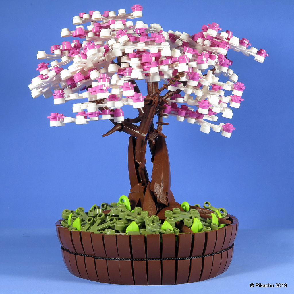 bonsai-102.jpg