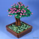 bonsai-001.jpg
