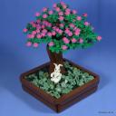bonsai-004.jpg