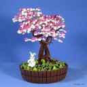 bonsai-104.jpg