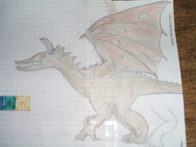 0dragon2.jpg